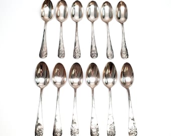 Set of 12 Antique George Shiebler Plant Pattern Sterling Silver Demitasse Spoons #6773