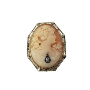 Vintage 14 Karat Yellow Gold and Diamond Cameo Brooch/Pendant #10831