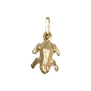 14 Karat Gelbgold Frosch-Anhänger #21641
