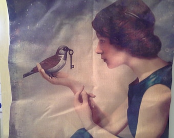Girl with bird and key, pillow case