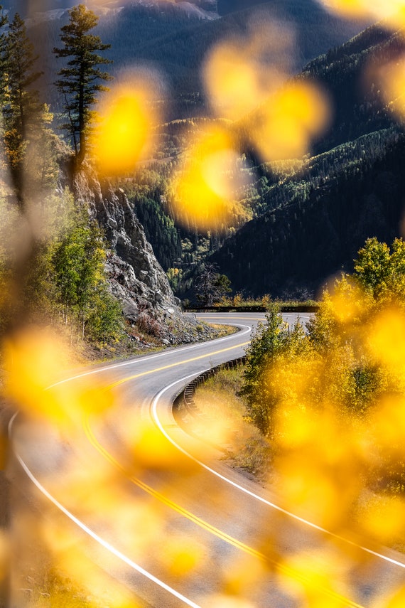 Road Wall Art Print, Fall Photo Print on Canvas, Autumn Photo Print on Metal, Fine Art Photography Print 8x10, Colorado Photography