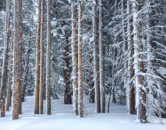 Vail Colorado, Colorado Art Print, Colorado Photography, Mountain Decor, Rustic Decor, Colorado Photo, Colorado Mountain Ski landscape photo