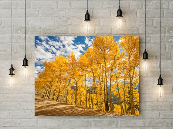 Boreas Pass Breckenridge Colorado, Colorado Art Print, Colorado Photography, Mountain Decor, Rustic Decor, Colorado Photo, Colorado Aspen