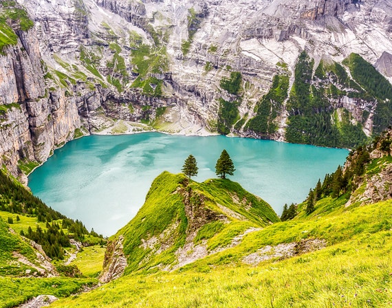 Two Trees, Mountain Print, Switzerland Photography, Mountain Decor, Large Wall Art, Travel Photo, Travel Photography, Switzerland Photo