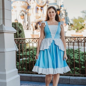 Cinderella twirl dress,adult dress,adult costume,adult gown,princess dress,cinderella dress,disney cosplay,disney dress,disney princess