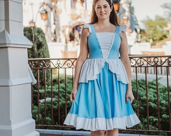 Cinderella twirl dress,adult dress,adult costume,adult gown,princess dress,cinderella dress,disney cosplay,disney dress,disney princess