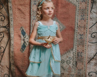 Heirloom Disney Princess Dress,Jasmine Aladdin Costume,Halloween,Bippety Boppety Boo,Pageant,Mickeys Not Scary Halloween,Cosplay,Chiffon