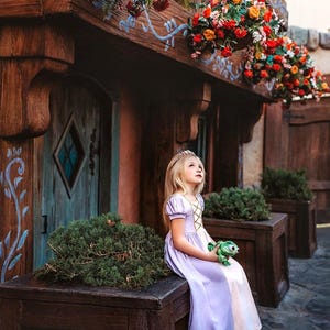 Rapunzel Princess Dress for Girls - Birthday Party Dress - Toddler Halloween Costume - Purple Princess Gown - Ready to Ship