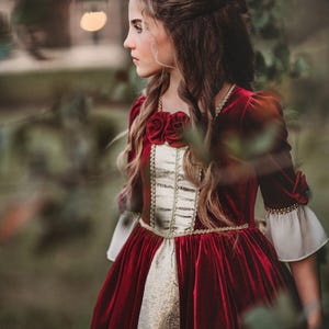 READY TO SHIP,Girls Christmas Dress,Disney Princess Belle Gown,Beauty and the Beast,Princess Ballgown,Christmas Dress,Formal Christmas Dress