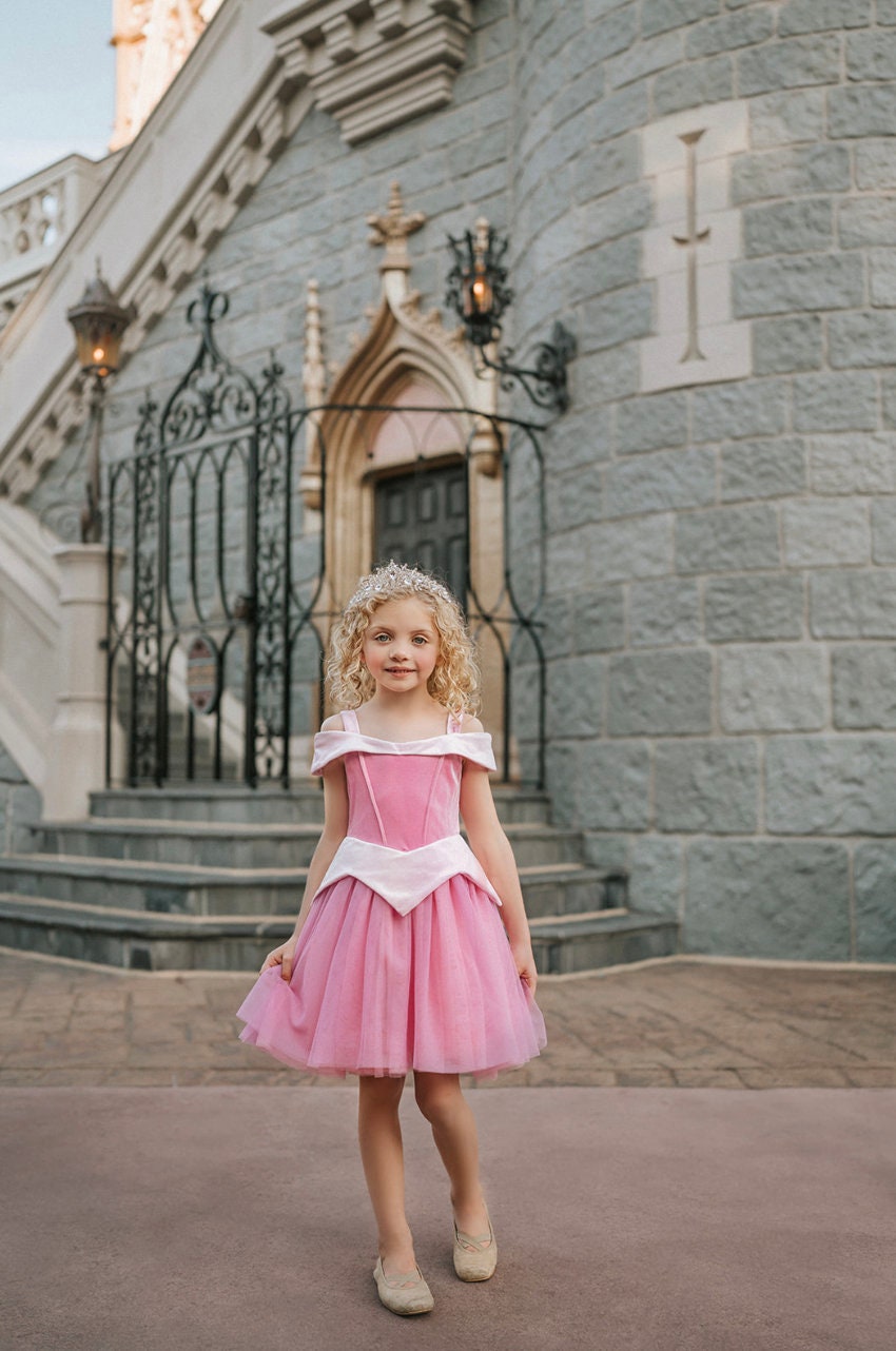 princess dress up 3t Disney Princess Deluxe Toddler Costume, 2T-3T, NWT