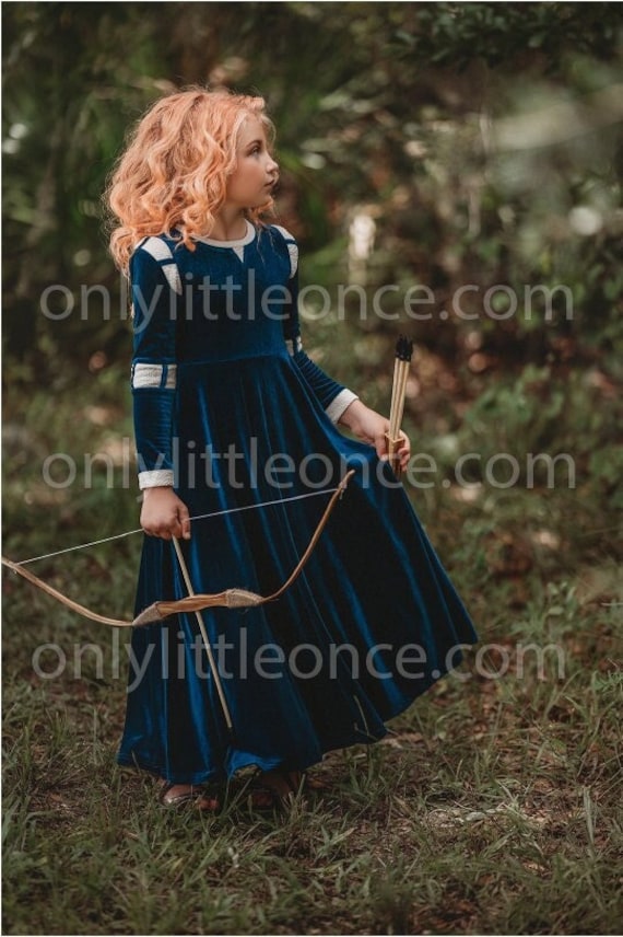 brave princess dress