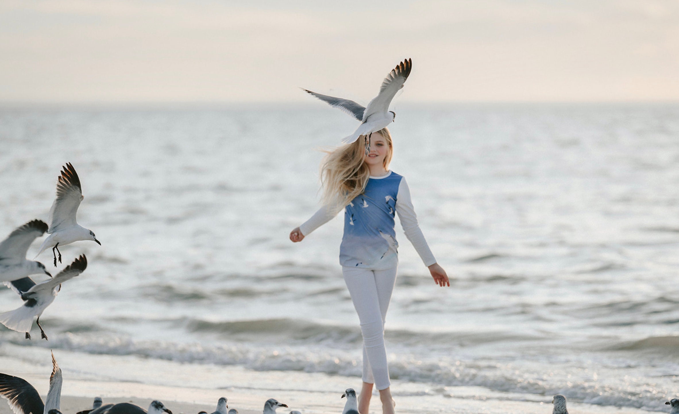 1989年テイラー・スウィフトのアルバムカバーのカモメ柄スウェット