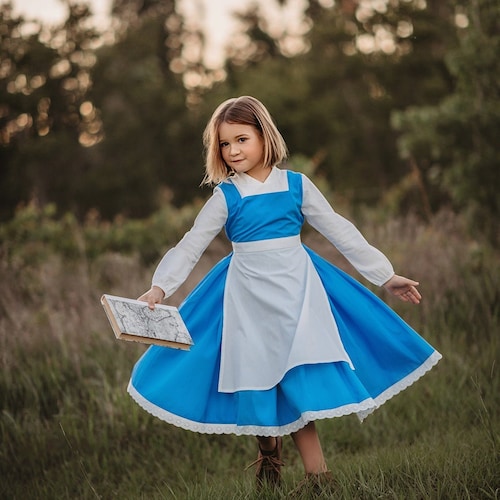 provincial belle costume
