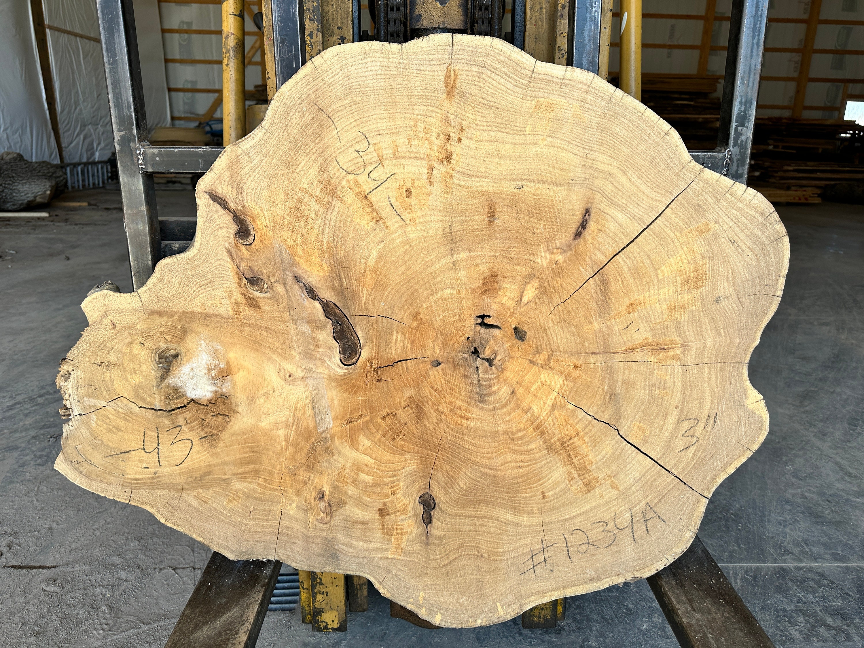 A live edge elm slab of wood – Collector's Specialty Woods