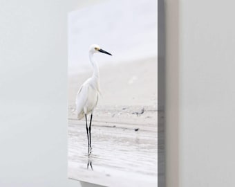 Beach Egret by Wink Gaines