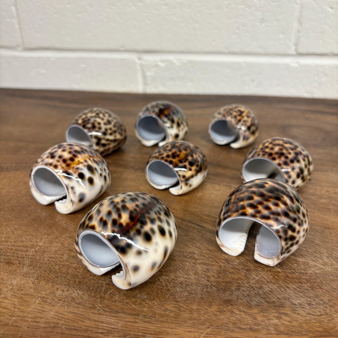 Tiger Cowrie Shell Napkin Rings - Etsy