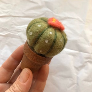 DISCONTINUED,Easy Beginner Felting Kit, Barrel Cactus in a Pot Felting Kit, All Levels Needle Felting, CLEARANCE SALE