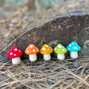 Op de afbeelding: Vijf vilten paddenstoelen in een regenboog van kleuren, rood, oranje, geel, groen en blauw, met witte stippen op de hoeden, gerangschikt in een rij op een bed van dennennaalden.
