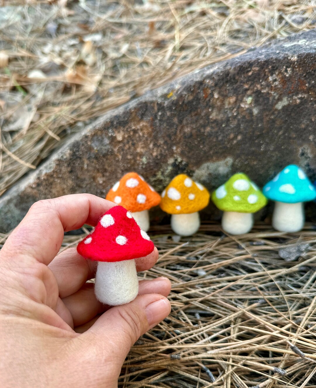 NEW KIT Easy Needle Felt Toadstools, Mushrooms Art Kit With Digital Tutorial Access, Pattern