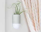 Wall Planter, Concrete Planter, Wall Planter for Succulents, Modern Wall Planter, Hanging Wall Planter, Concrete Air Plant Holder, Pot