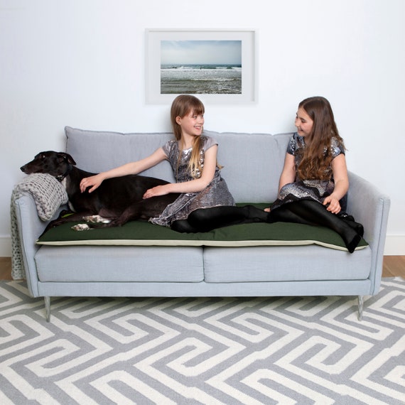 couch protector for dogs