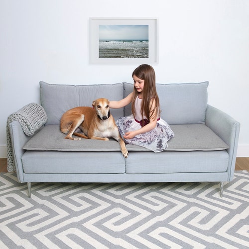 pet furniture for dogs