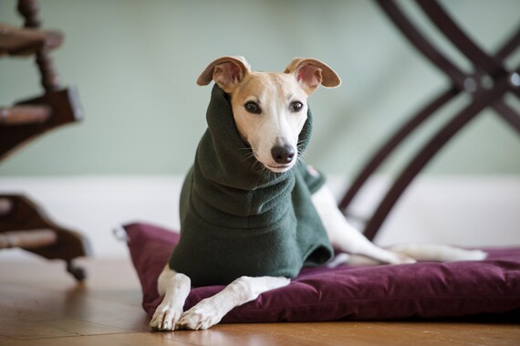 washable dog blanket