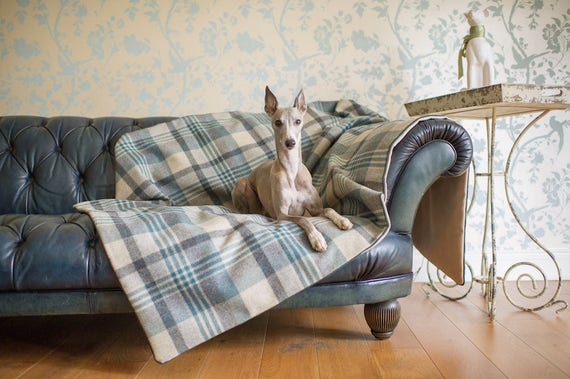 pet furniture protector throw