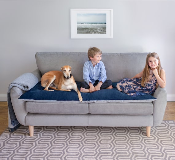 Pet Furniture Protector In Ink Velvet Couch Pet Furniture Protector In Ink Velvet, Pet Furniture Cover