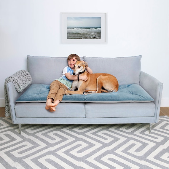Pet Furniture Protector In Airforce Velvet Pet Couch Etsy