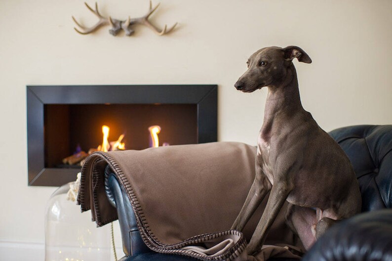 Pet Furniture Cover Dog Throw Pet Throw Blanket Pet Couch Etsy