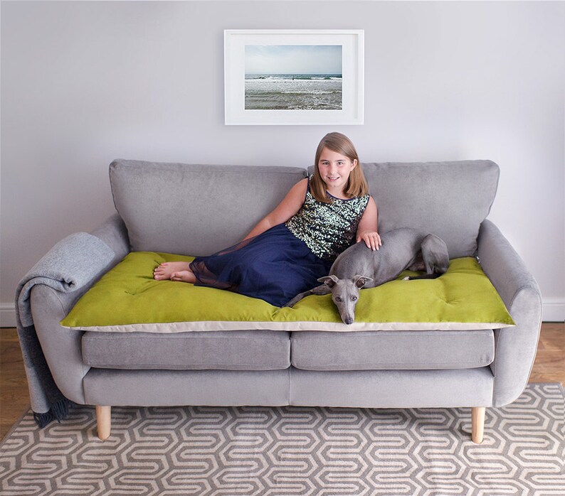 Pet Furniture Cover Sofa Topper for Pets Pet Furniture Protector in