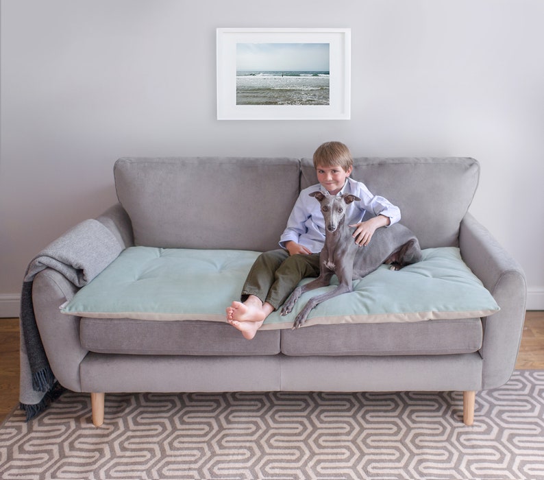 Pet Furniture Protector in Seaspray Velvet Pet Couch Etsy