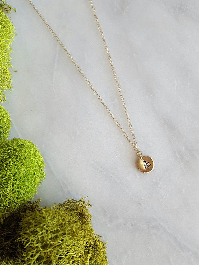 Gold Filled Evergreen Necklace Pine Tree Jewelry Small Disk Necklace Forest Jewelry Woodland Jewelry Tree Charm Hike Jewelry image 7