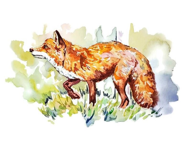 Prancing Red Fox Woodland Watercolor Prints
