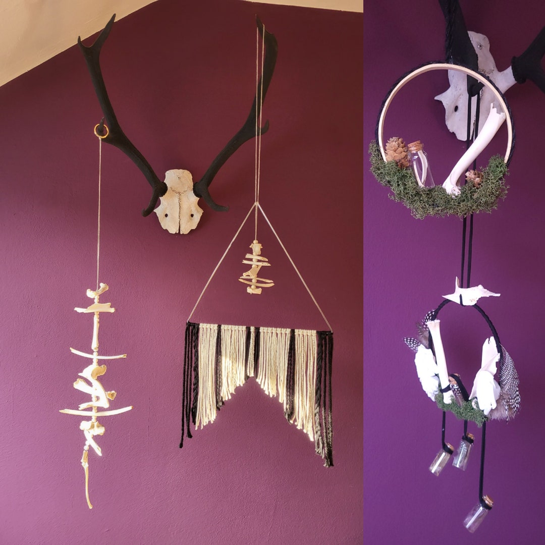 Animal Bone Hanger/wall Decor Etsy