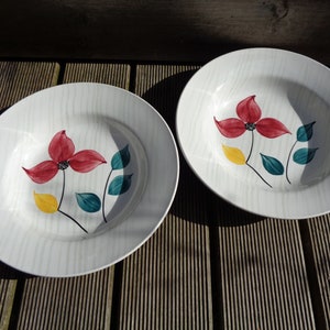 Platos hondos Digoin Sarreguemines, flores rústicas pintadas a mano, modelo Larmor, juego de 2 platos hondos de loza francesa