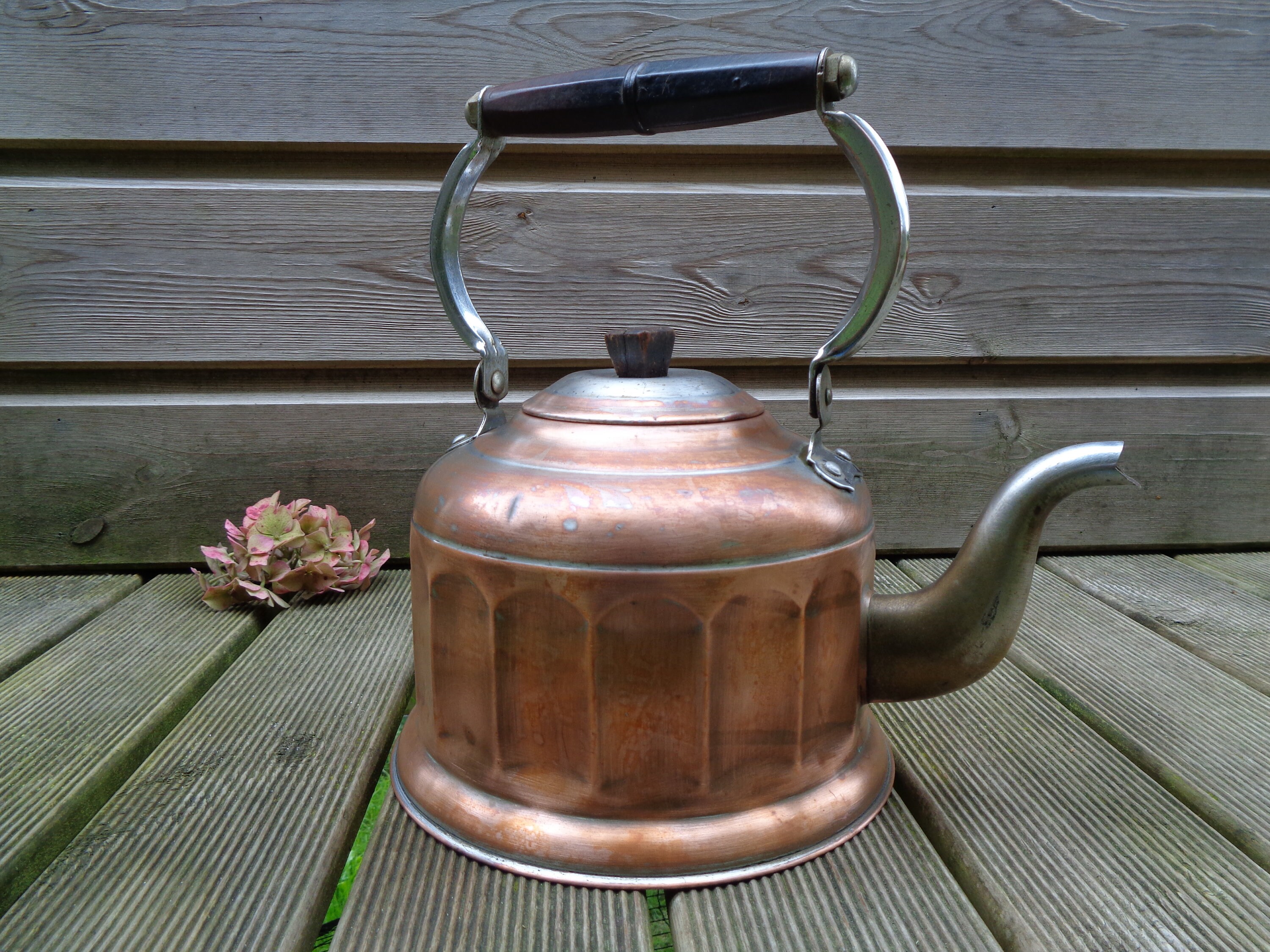 Home & Living Kitchen & Dining Vintage Cast Iron Kettle with Chrome