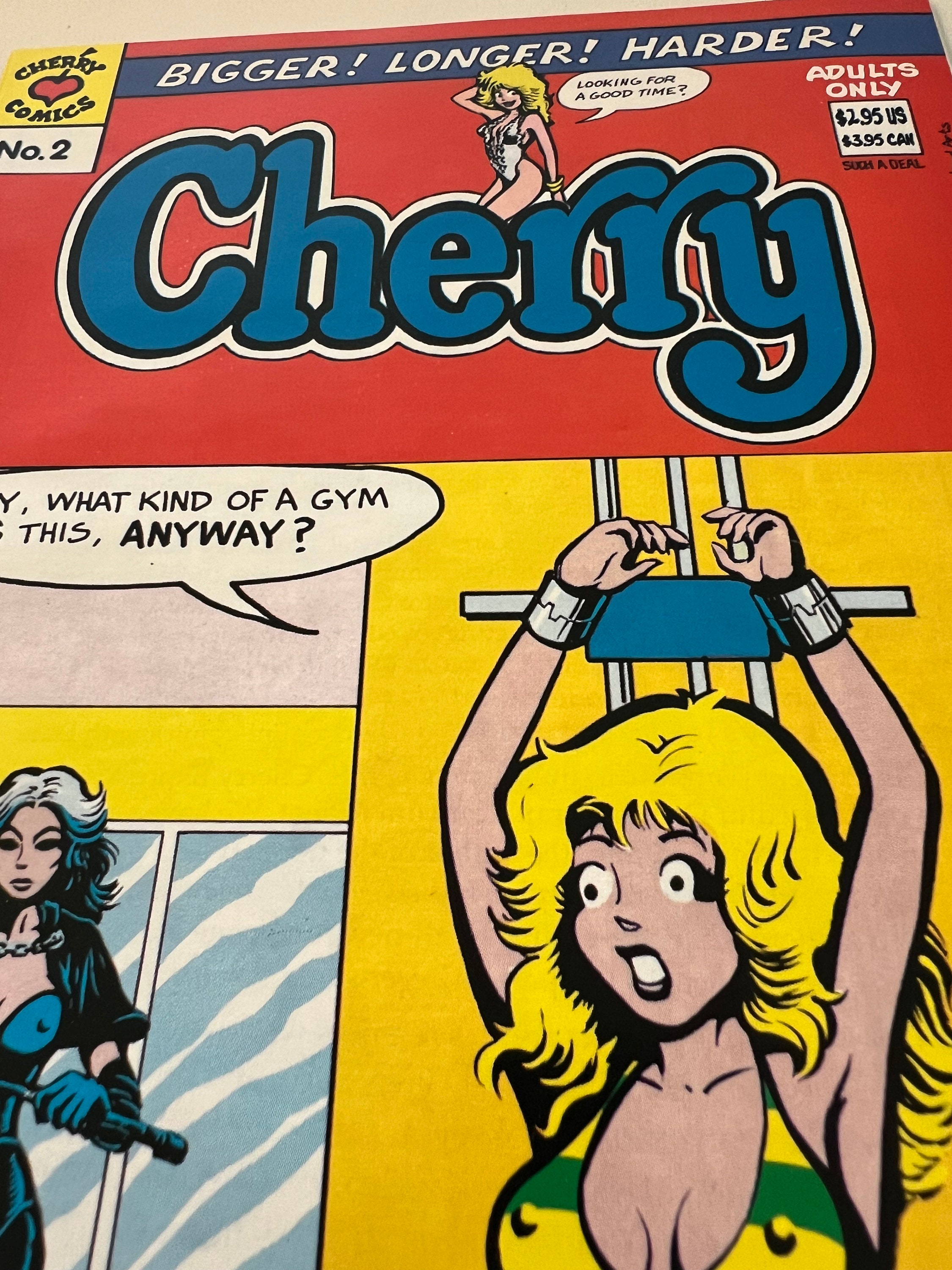 Pornographic Comic - Etsy