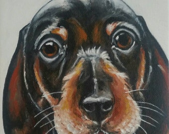 Dachshund portrait, Original acrylics handmade dog portrait, ready to hang canvas size 15 x 15 cm ( 6 x 6"),  Order Your Custom Pet Portrait