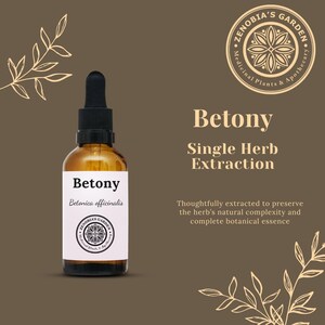 Betony Tincture, 1 oz bottle - Natural Handcrafted Small Batch Tincture