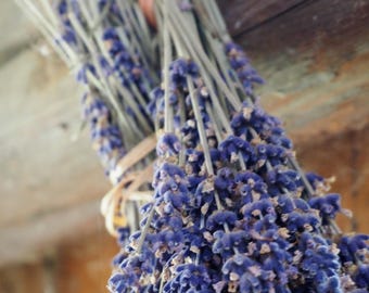Organic Lavender Flowers, Aromatherapy, Tea, Baking (1 oz)