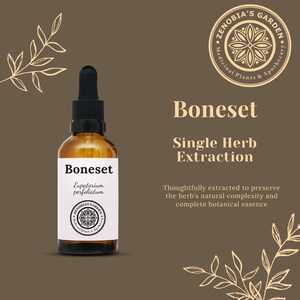 Boneset Tincture, 1 oz bottle - Handcrafted Small batch Tincture - Natural