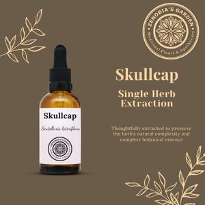 Skullcap Tincture, 1 oz bottle