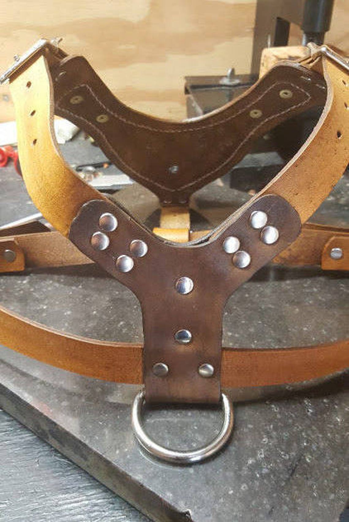 Leather Dog Harness Brass vintage Lion Brass Dragons Dog Etsy