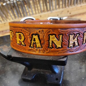 May include: A brown leather dog collar with a floral embossed design and the name "FRANKIE" in gold lettering.