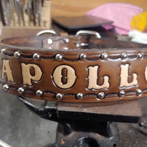 Dog Collar, Leather Dog Collar. 357mag Bullets, Handmade, Personalized Dog Name, Western Dog Collar, Large Dog Collar, Dark Brown,