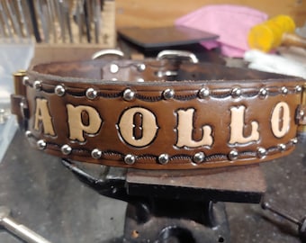 May include: A brown leather dog collar with silver studs and the name "APOLLO" embossed in cream-colored lettering.
