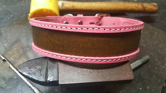 redbone coonhound hypoallergenic