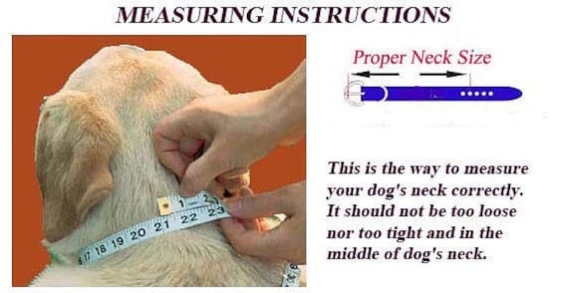 May include: A close-up image shows how to measure a dog's neck for a collar. A person is holding a tape measure around the dog's neck. The tape measure reads 23 inches. The image also shows a diagram of a collar with the text "Proper Neck Size". The text below the diagram reads: "This is the way to measure your dog's neck correctly. It should not be too loose nor too tight and in the middle of dog's neck."